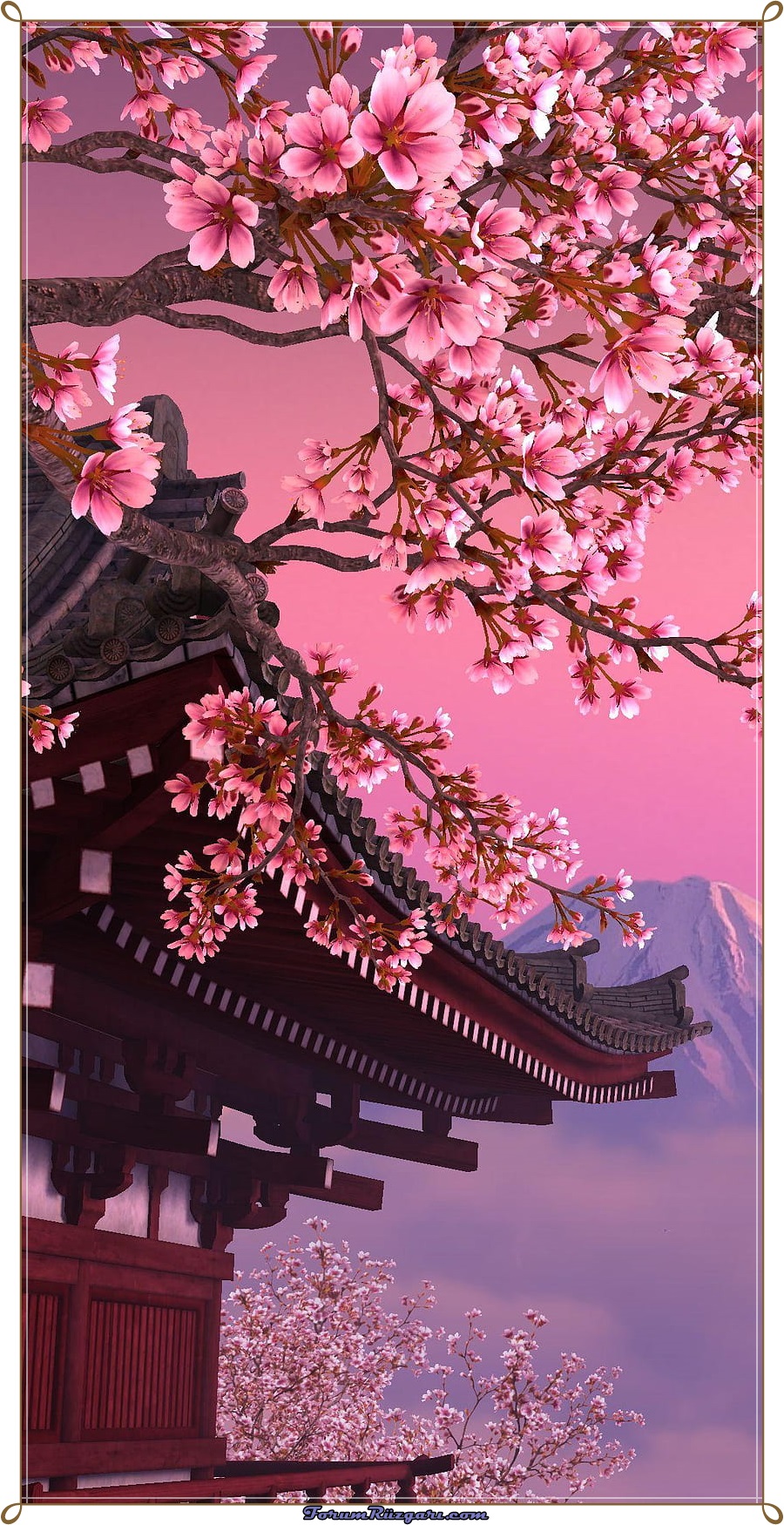 desktop-wallpaper-sakura-mobile.jpg