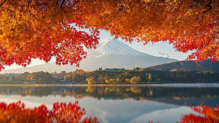 photography-japan-mount-fuji-wallpaper-preview.jpg