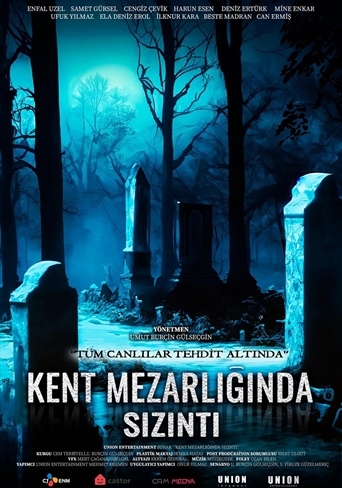 HO00006061_638314967287802481_kent-mezarliginda-sizinti.png